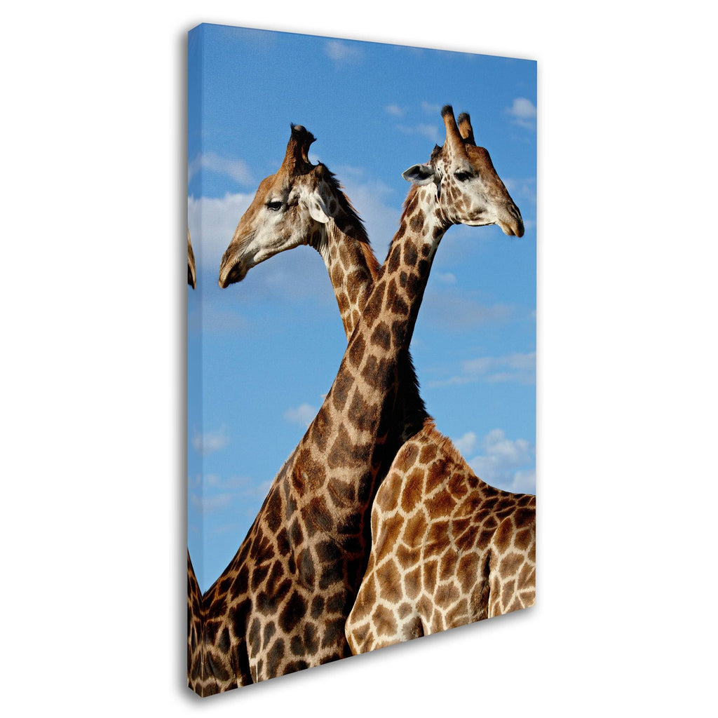 Canvas Art C2962