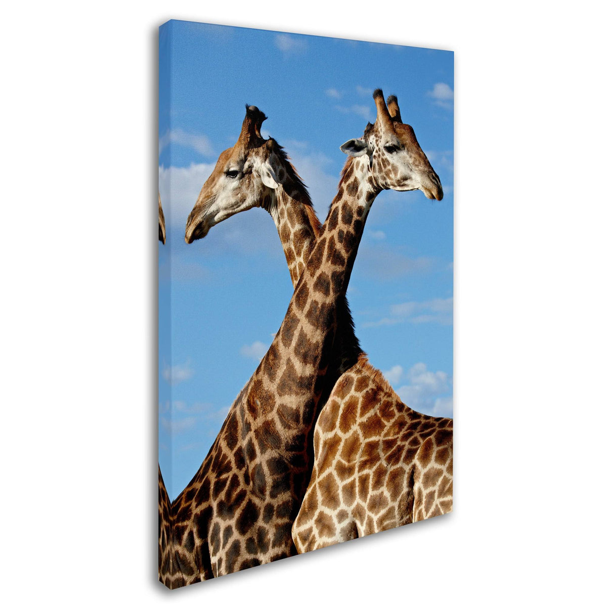 Canvas Art C2962