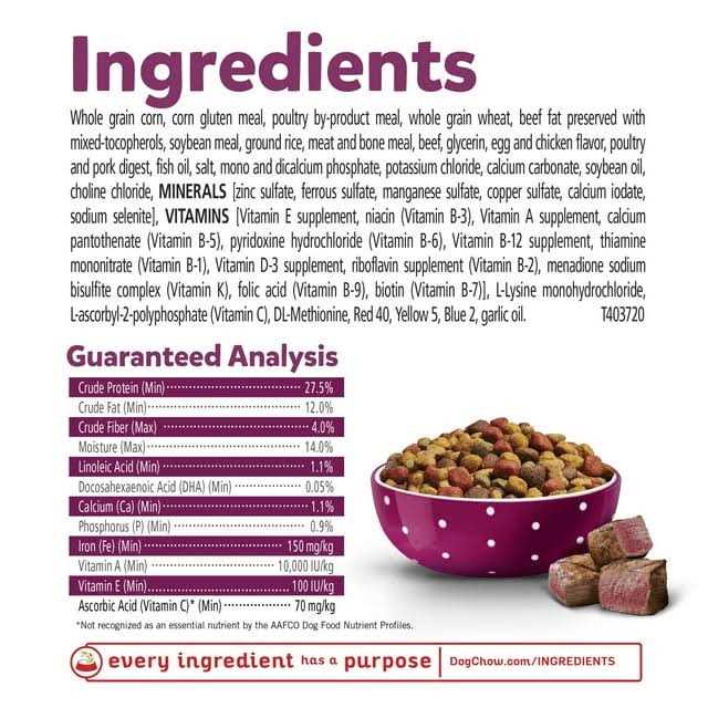 Real Beef Dry Puppy Food U908648