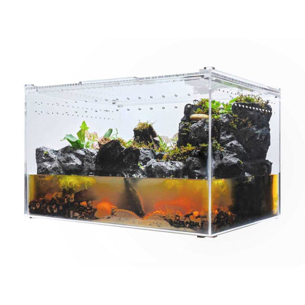 Acrylic Clear-Top Reptile Habitat W21563