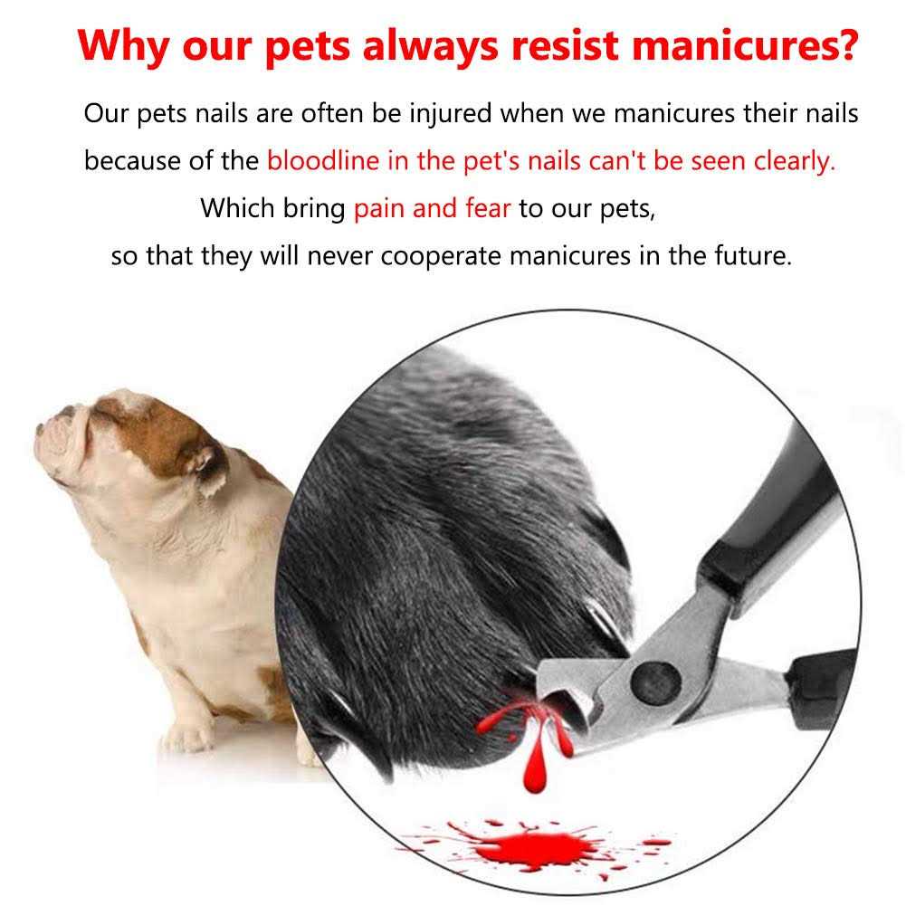 Illuminated Pet Nail Clipper with LED Light O2887