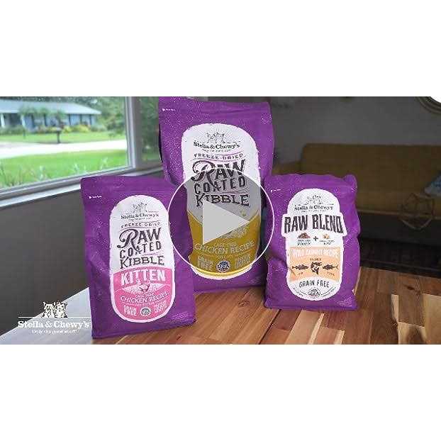Freeze-Dried Salmon Chicken Cat Food C864