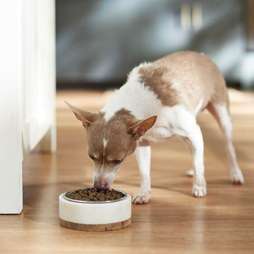 Hi-Pro Plus Formula Dry Dog Food S10858