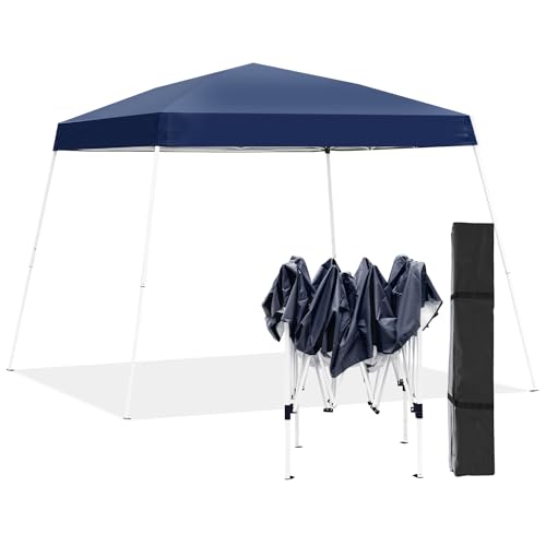10x10ft Pop-up Canopy Tent with 4 Removable SideWalls B313