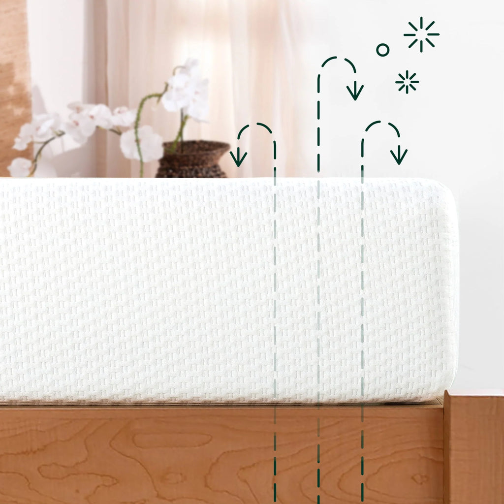 Queen Memory Foam Mattress R9183