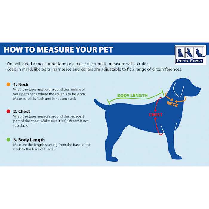 Pet Collar R9654
