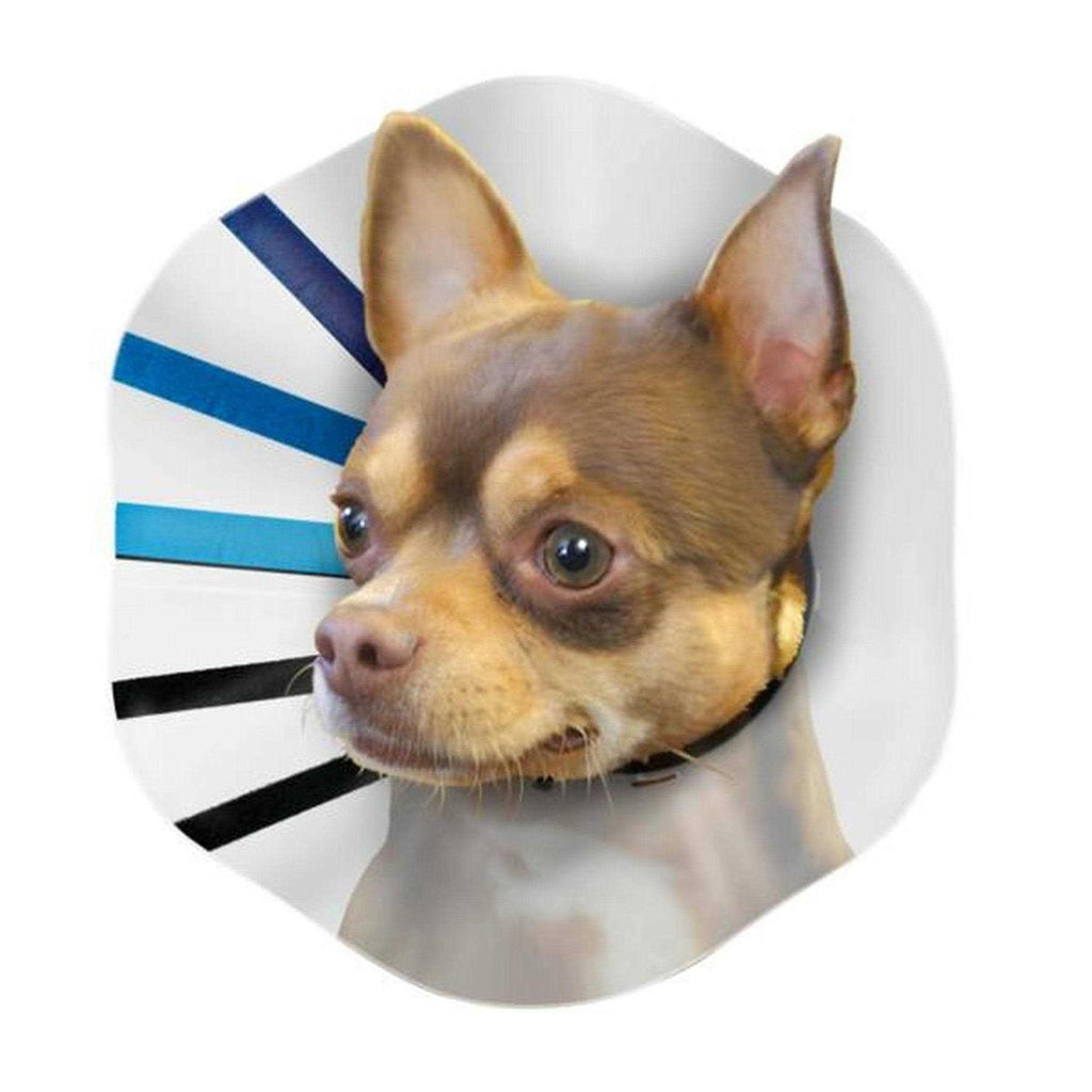 Clear Collar D335