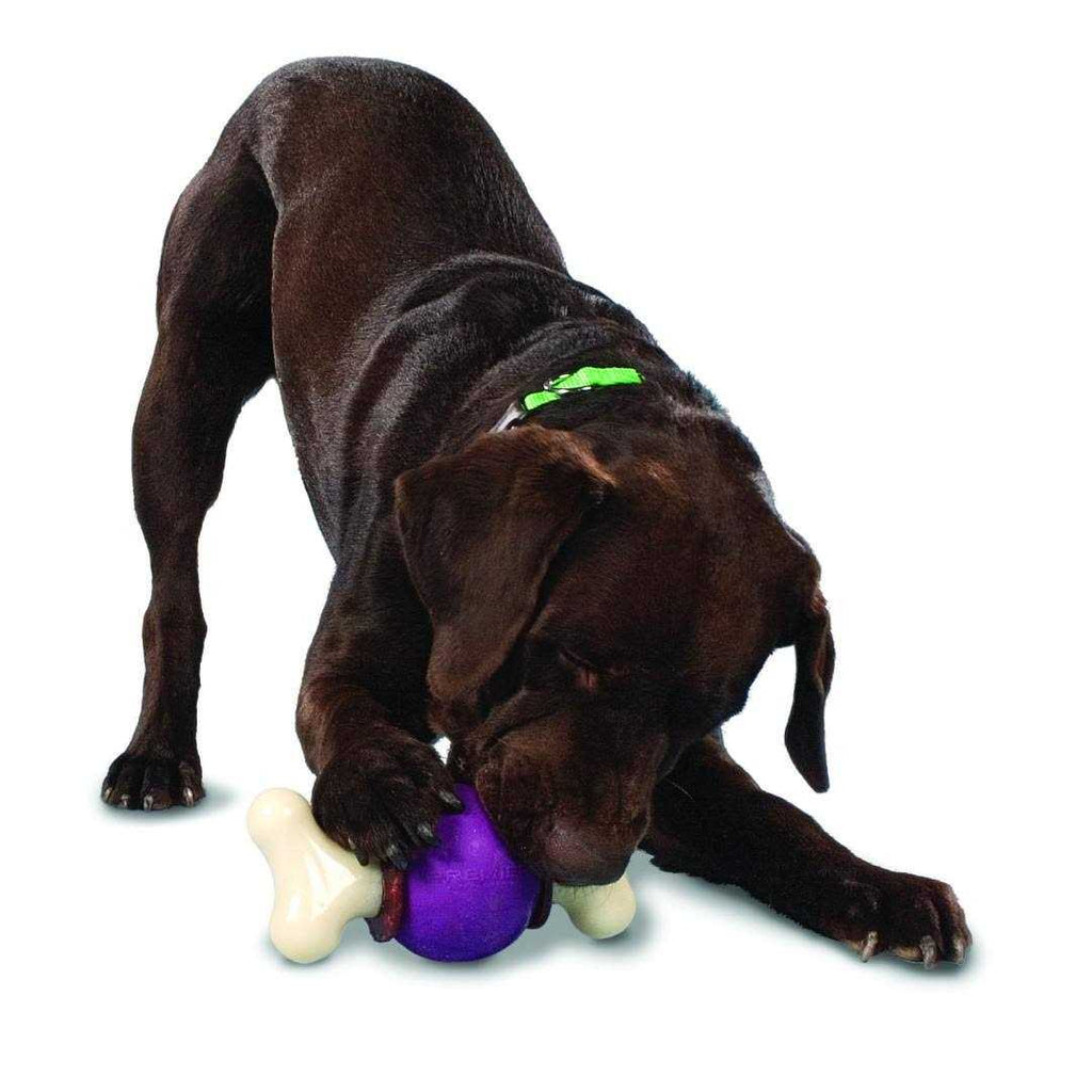 Bouncy Bone L58379