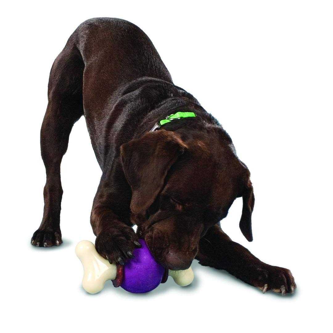 Bouncy Bone L58379