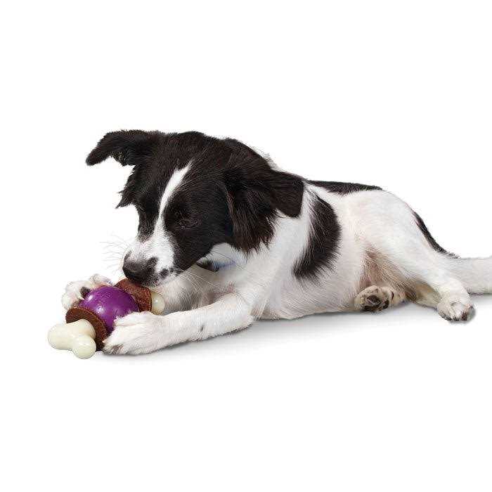 Bouncy Bone L58379