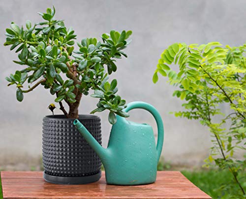 6 Inch Blue Ceramic Stoneware Planter Pot with Drainage Holes and Saucers Q499129