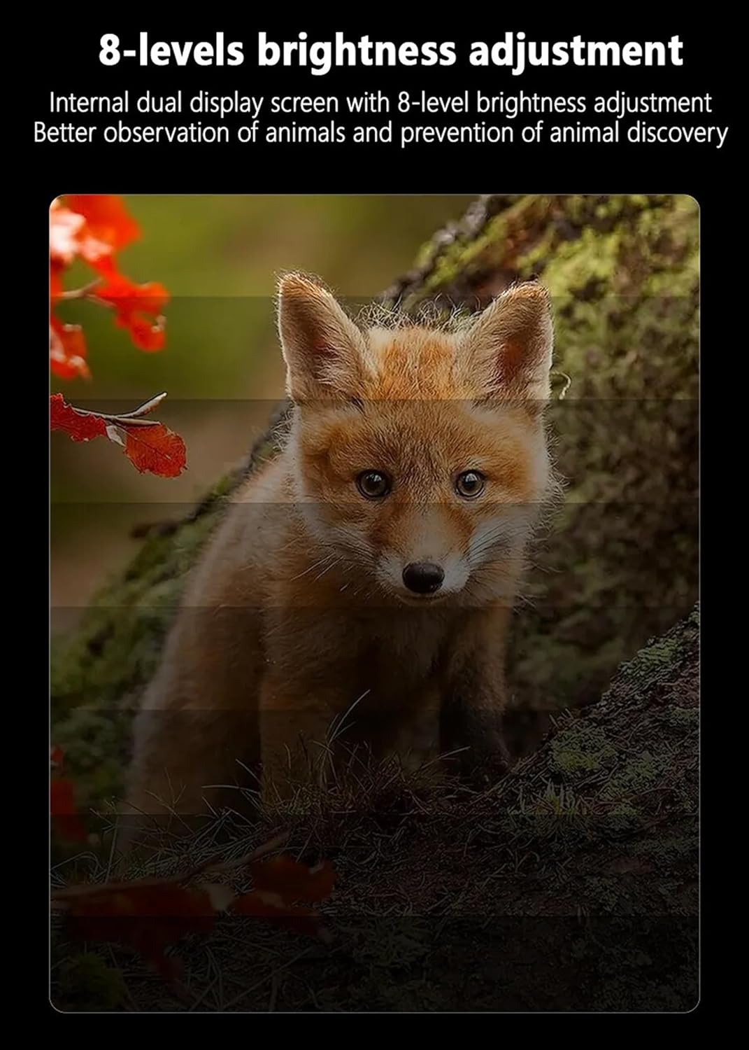 Night Vision Binoculars with 1.4inch Screen, 8X Digital Zoom T6810
