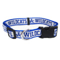 Pet Collar R9654