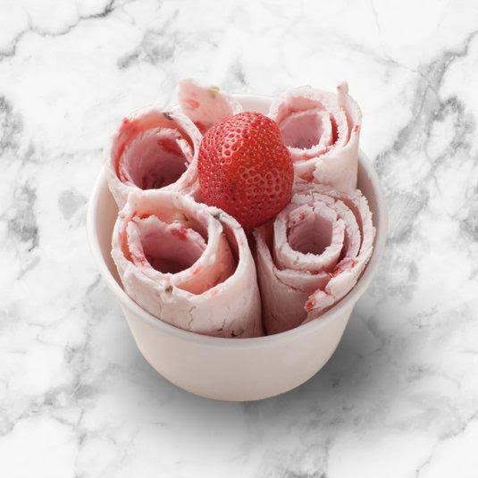 Portable Instant Ice Cream Maker in Stainless Steel M814