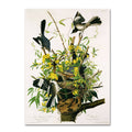 Canvas Art C954