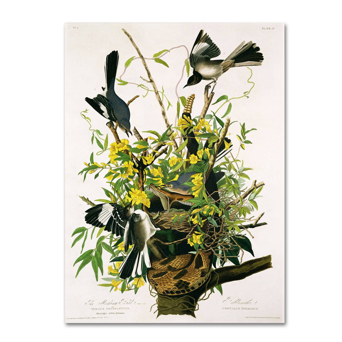 Canvas Art C954