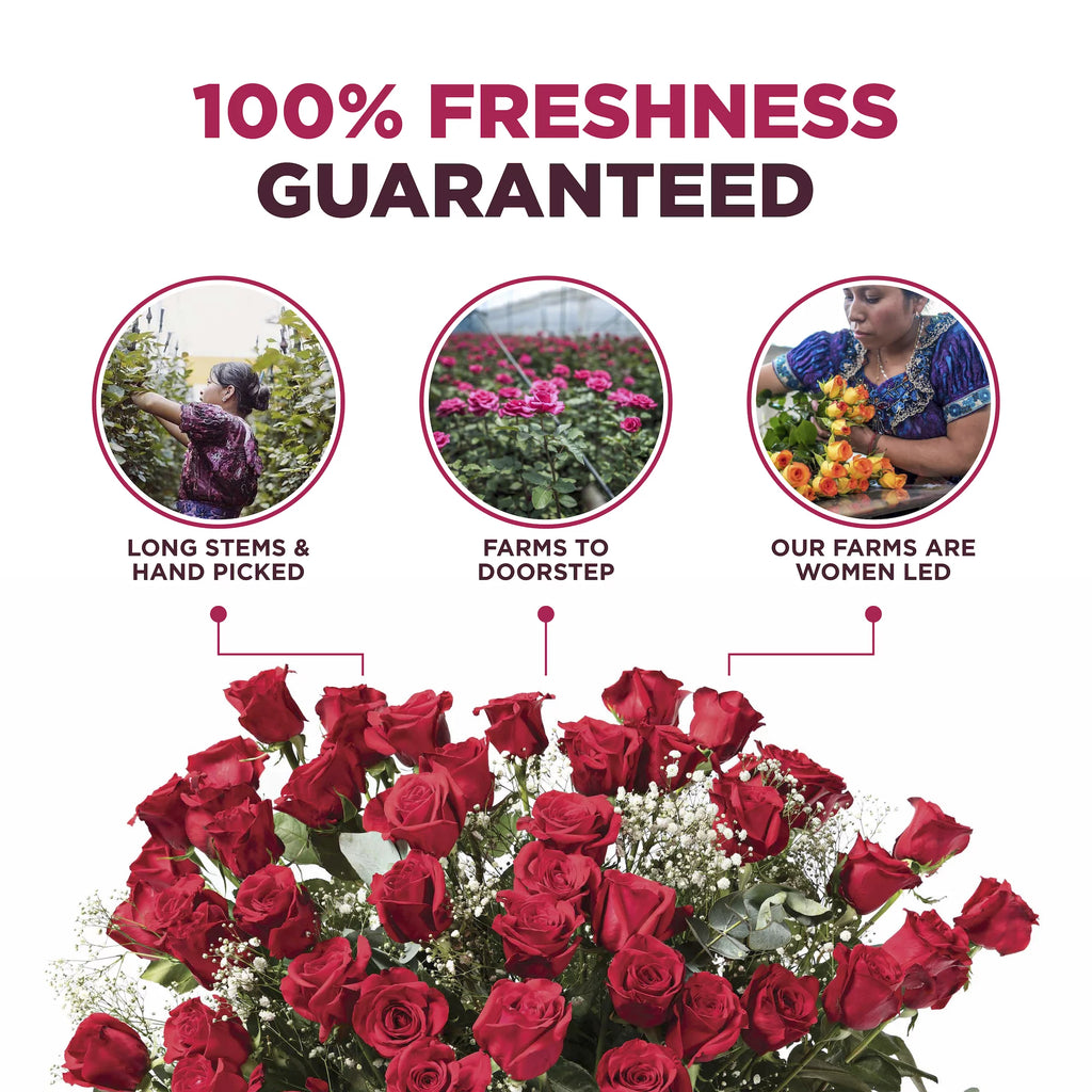 4 Dozen Fresh Cut Long Stem Roses Bouquet B63982