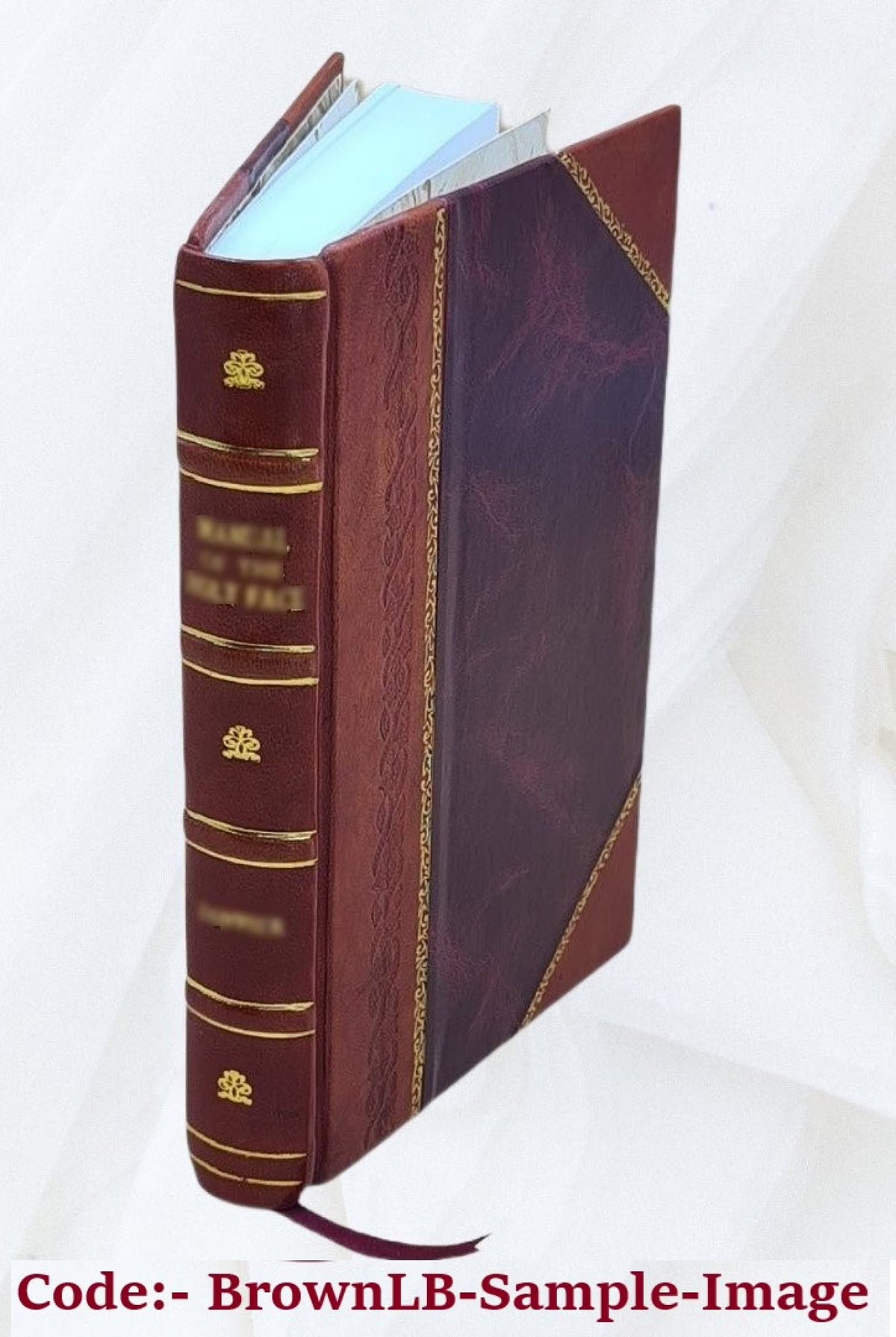 Leather Bound Book S439