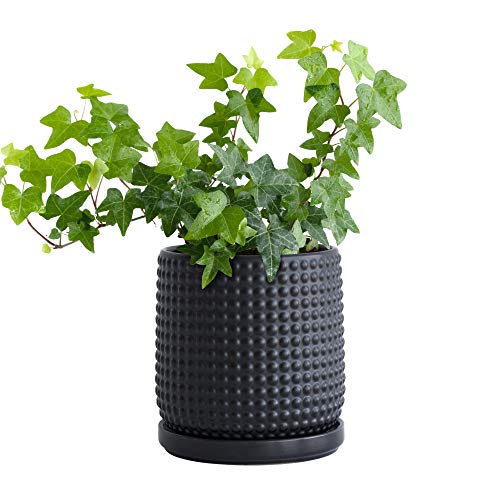 6 Inch Blue Ceramic Stoneware Planter Pot with Drainage Holes and Saucers Q499129