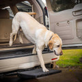 Car Pet Ramp Pet Step N8410