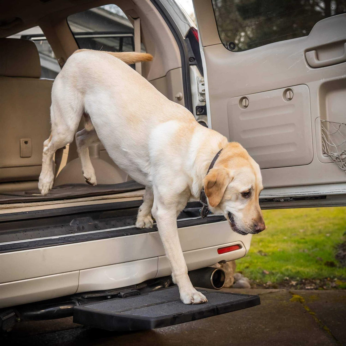 Car Pet Ramp Pet Step N8410