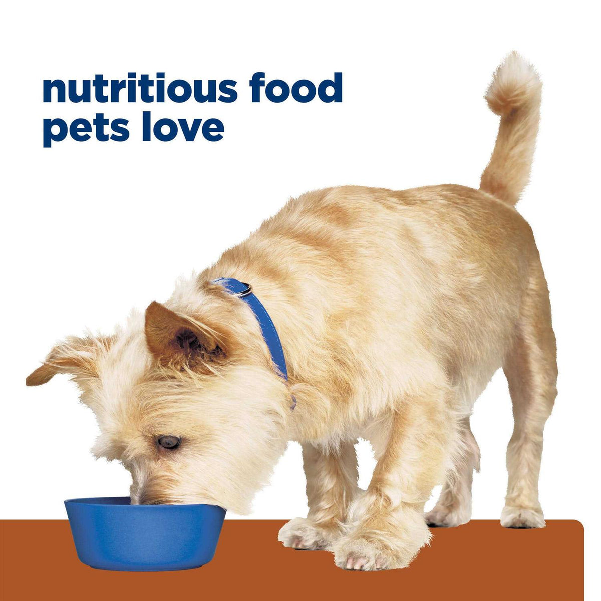 Prescription Diet k/d Kidney Care Dog Food F62214