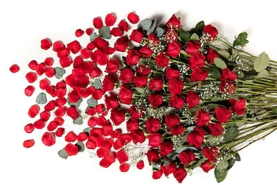 4 Dozen Fresh Cut Long Stem Roses Bouquet B63982