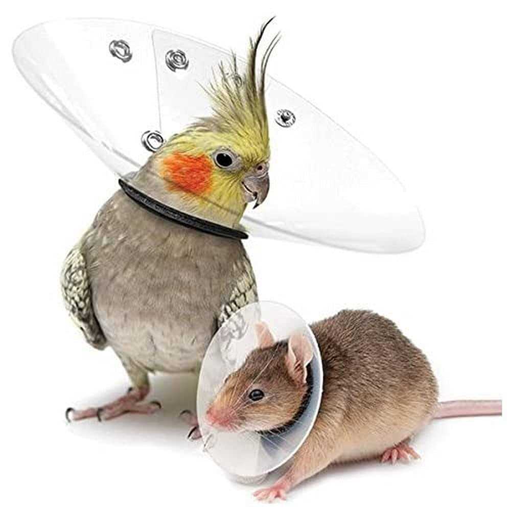 Collar Rodents Pet Supplies H807