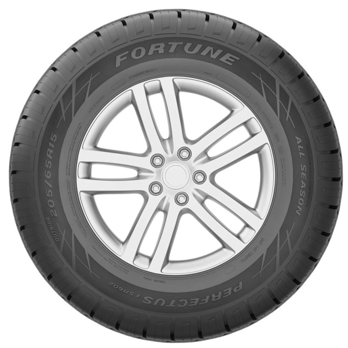 205/65R15 99H XL Passenger Tire G256