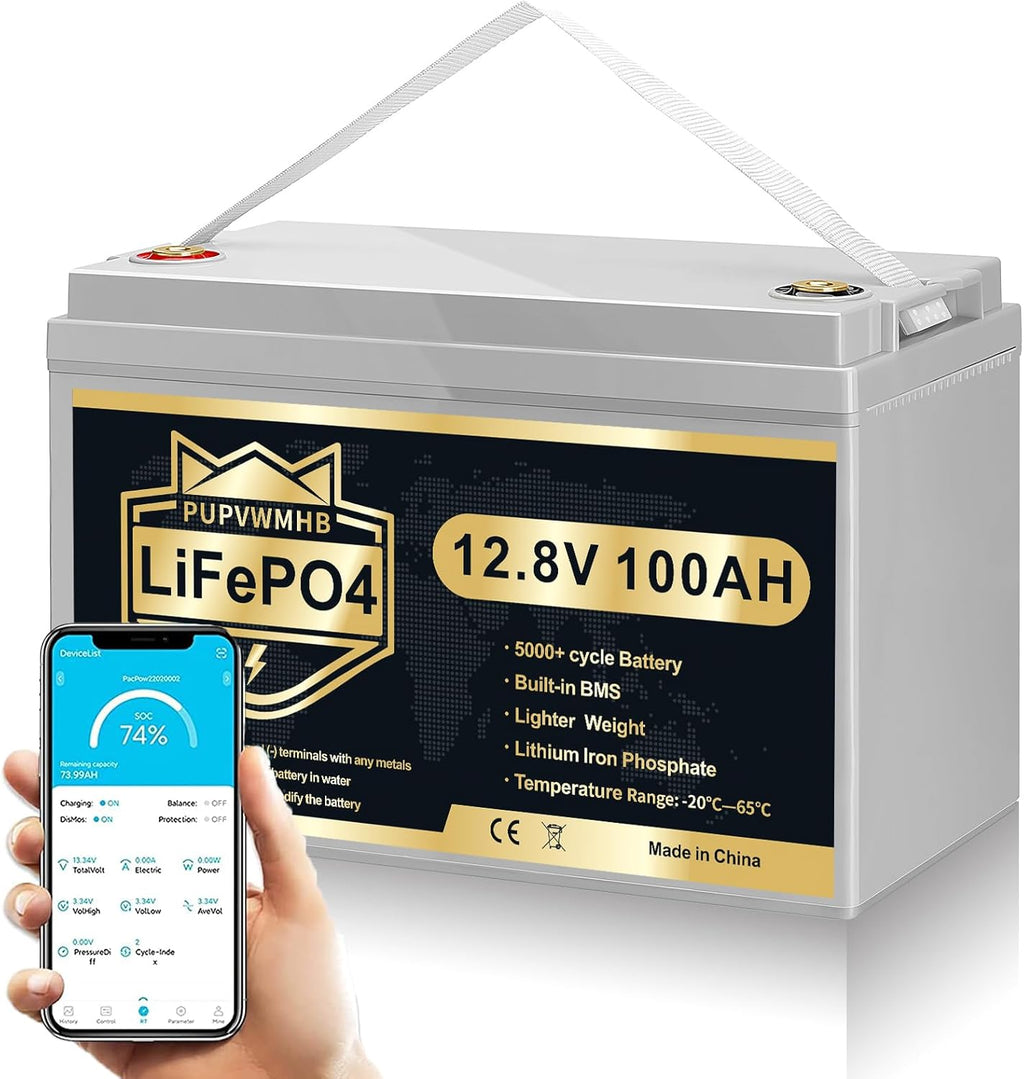12V 100Ah Bluetooth LiFePO4 Lithium Battery with 100A BMS, Low Temperature Protection, 1280Wh Energy N769