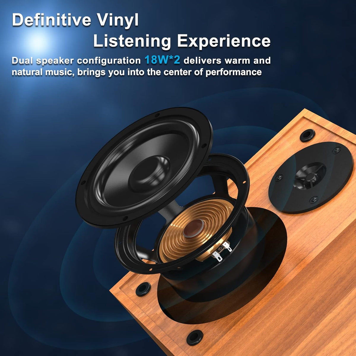 Bluetooth Record Player with Speakers E339