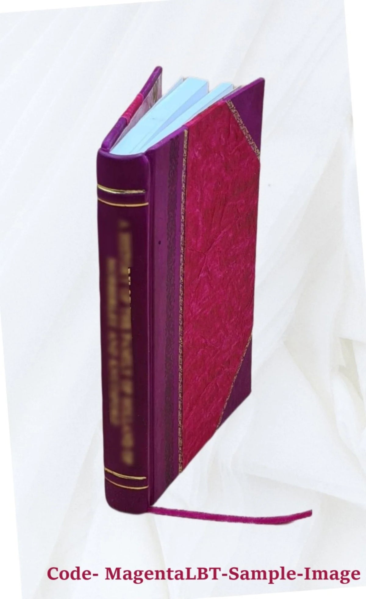 1910 Leather Bound Book E516590