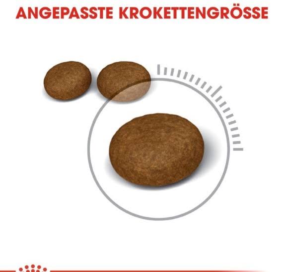 Adult 4kg Hair & Skin Care V236