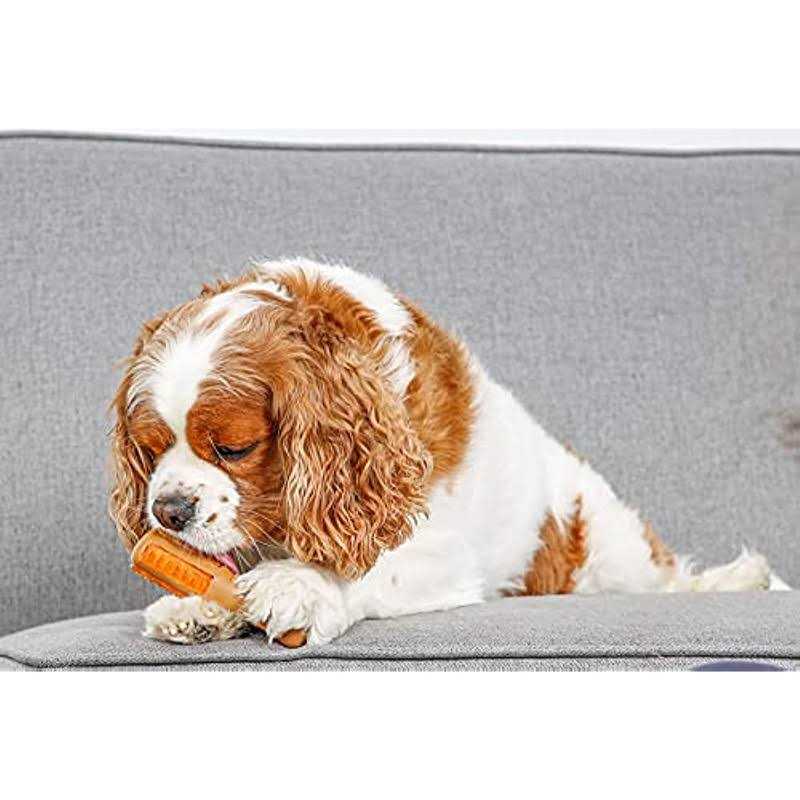 Chicken Flavored Dog Treat & Chew Toy T2059