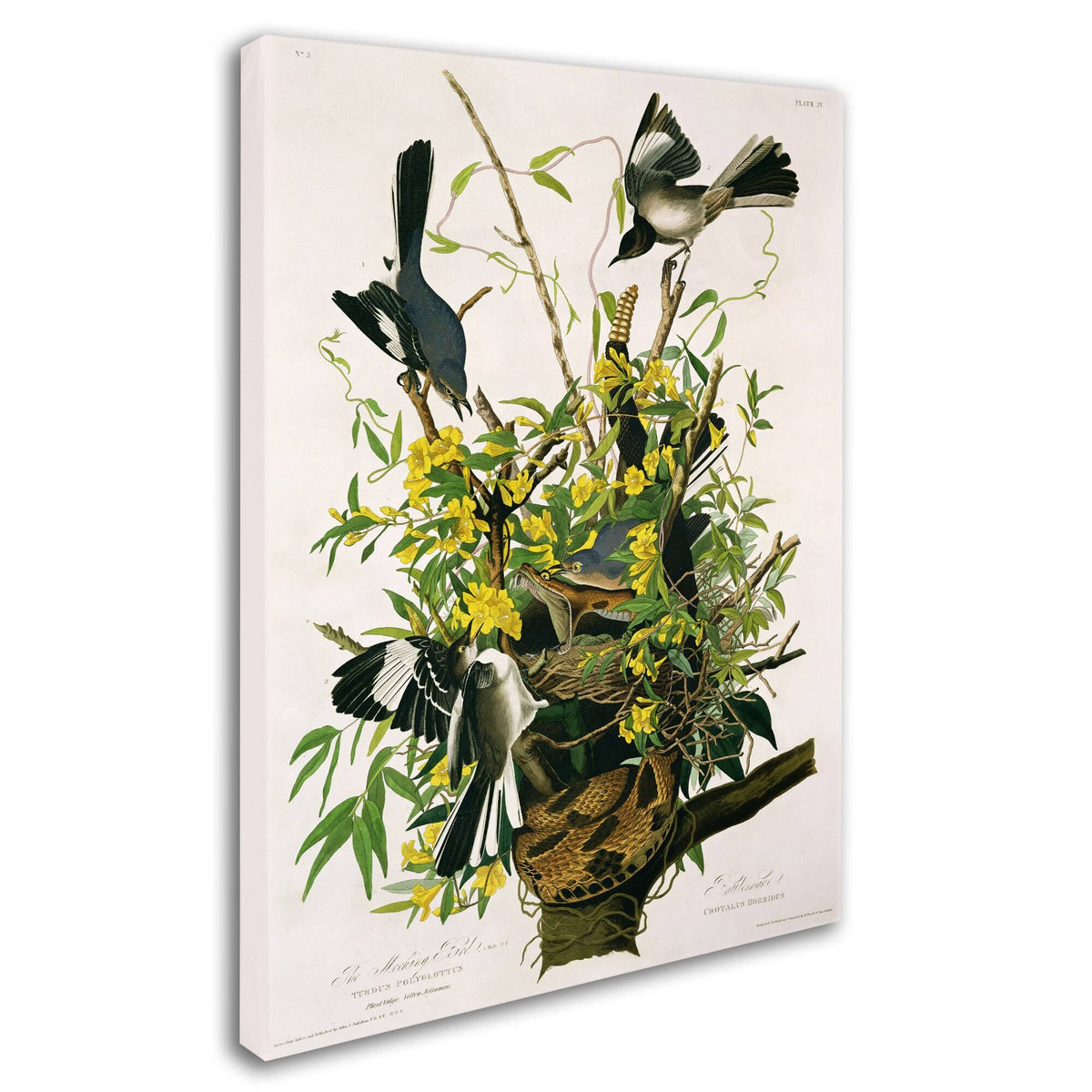 Canvas Art C954