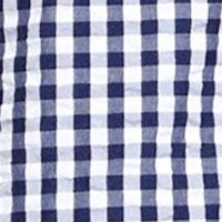 Blue Gingham Shirt Dress B2896