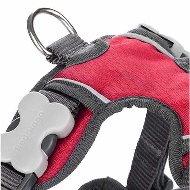 Red Dingo Padded Dog Harness T2532