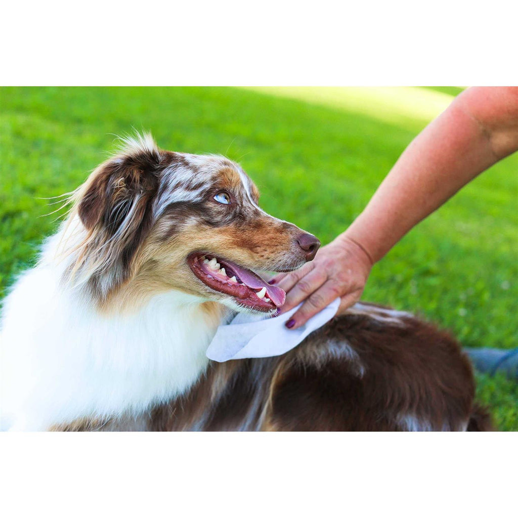 Oatmeal Aloe Grooming Wipes S745317