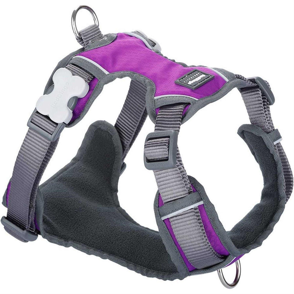 Red Dingo Padded Dog Harness T2532