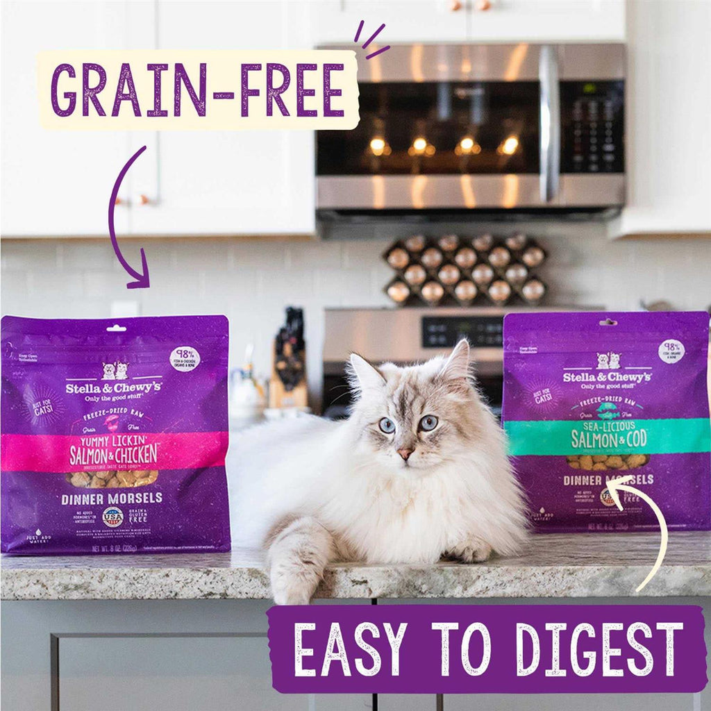 Freeze-Dried Salmon Chicken Cat Food C864