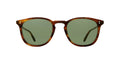 Chesnut Sun D449030