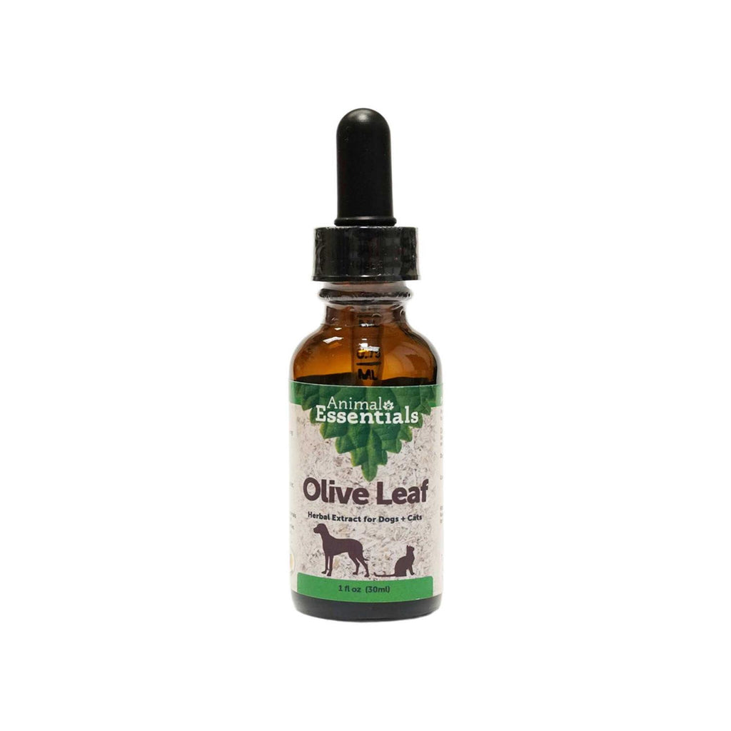 Olive Leaf Herbal Extract W9293