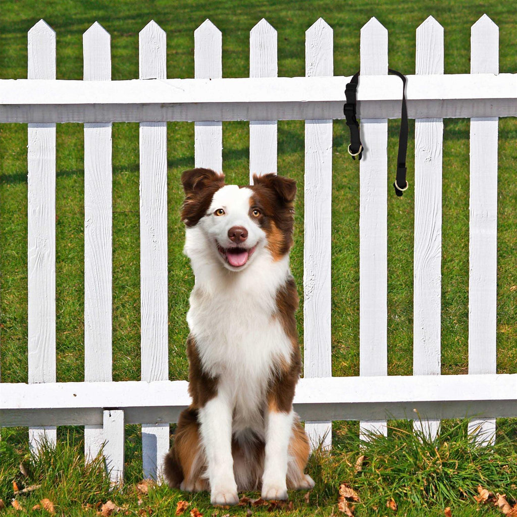 Break-Away Dog Collar S24467