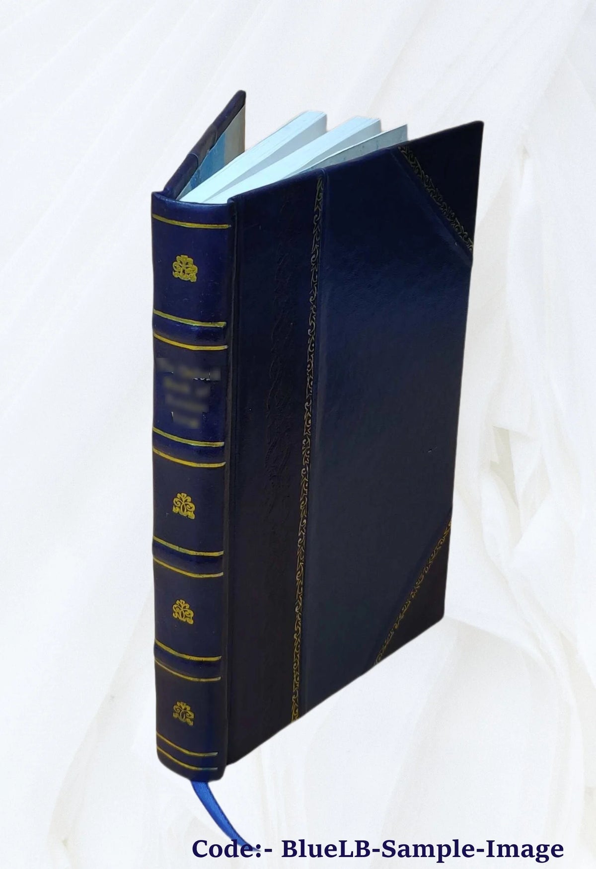 Leather Bound Book S439