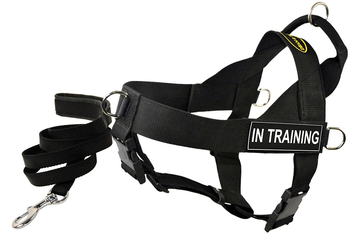 DT Universal Harness in Training X-Small B251