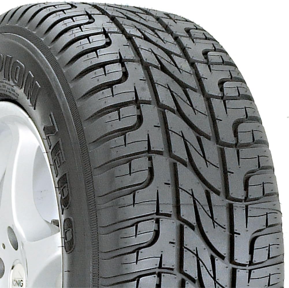 255/55-19 All Season Tire C894