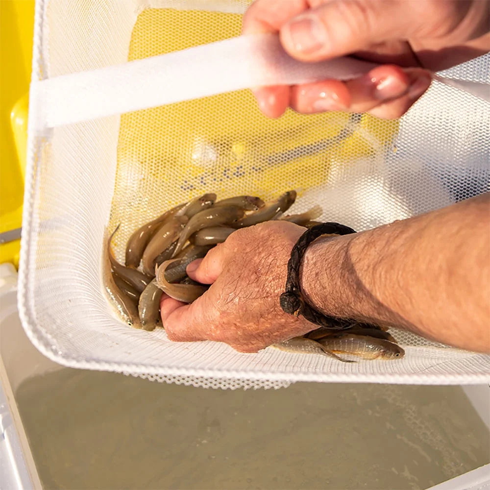 Magnum Bait Station 19 Quart S493