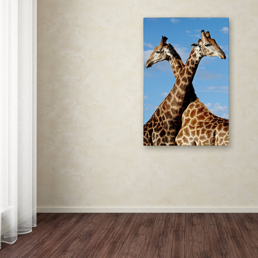Canvas Art C2962