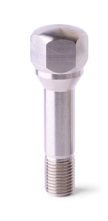 Titanium Lug Bolts 20 Piece C9920
