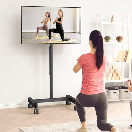 Mobile TV Cart with 30° Tilt D10143